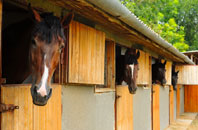 free Little Twycross stable construction quotes